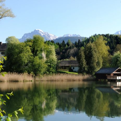 Höglwörther See nahe Teisendorf Höglwörther See nahe Teisendorf