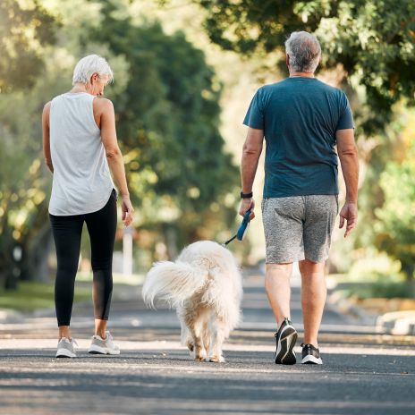 4-Hund und haustierfreundliche Ferienwohnungen und Ferienhäuser in Niedersachsen für Urlaub mit Hund in Niedersachsen