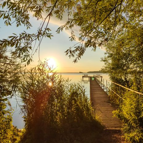 Steg an der Müritz im Sonnenuntergang