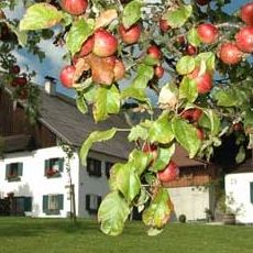 Urlaub auf dem Bauernhof an der Müritz Themenbox Bauernhof.590x230