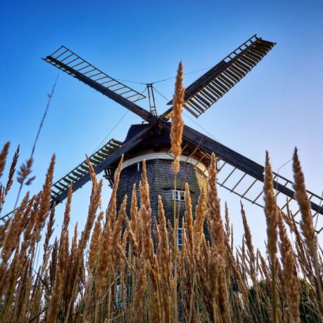 Windmühle in Benz auf Usedom