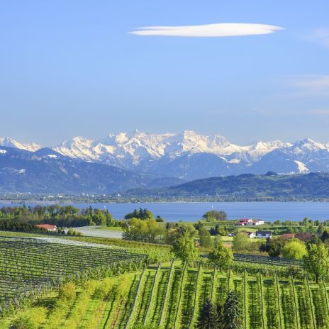 Blick über den Bodensee auf die Alpen