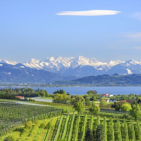 Blick über den Bodensee auf die Alpen Blick über den Bodensee auf die Alpen