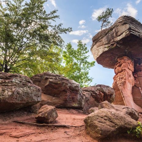 Teufelstisch von Hinterweidenthal Teufelstisch von Hinterweidenthal