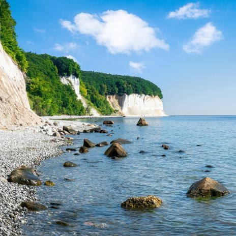 Steilküste im Nationalpark Jasmund bei Sassnitz Steilküste im Nationalpark Jasmund bei Sassnitz
