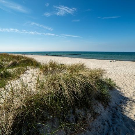 Ostseestrand bei Zingst Ostseestrand bei Zingst