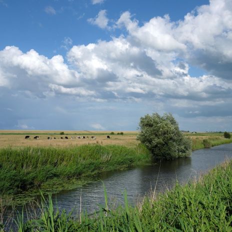 Landschaft bei Dornumersiel mit Pumptief