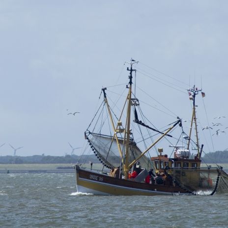 Fischkutter vor der Nordseeküste Fischkutter vor der Nordseeküste