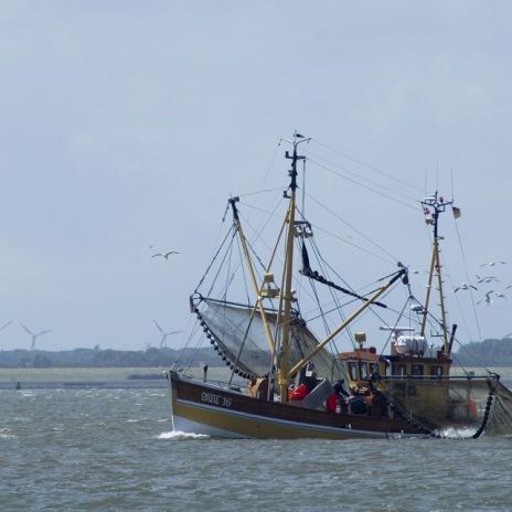 Fischkutter vor der Nordseeküste