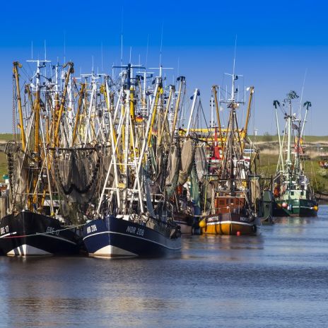 Shrimpkutter bei Greetsiel in Krummhörn