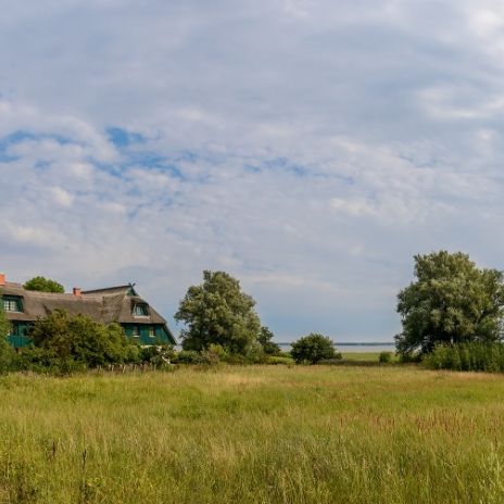 Boddenlandschaft mit Reetdachhaus Boddenlandschaft mit Reetdachhaus