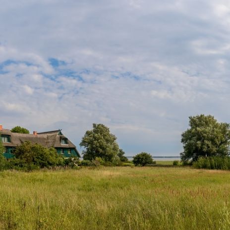 Boddenlandschaft mit Reetdachhaus