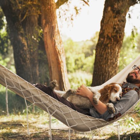 Urlaub mit Hund in Saarland Urlaub mit Hund in Saarland