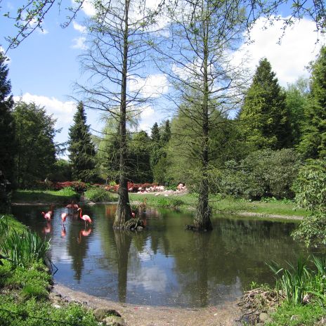 c-Urlaub in Niedersachsen Vogelpark Walsrode