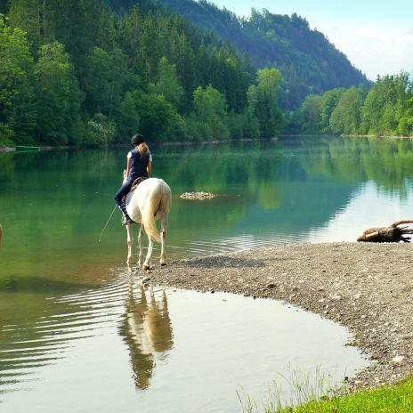 Auwaldsee bei Fischen im Allgäu