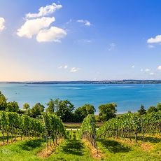 Themenbox_Ferienhaus & Ferienwohnung_Bodensee_Seeblick_590x230_BestFewo