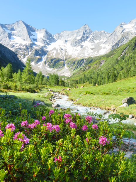 Bezauberndes Zillertal - © paul/stock.adobe.com Bezauberndes Zillertal - © paul/stock.adobe.com