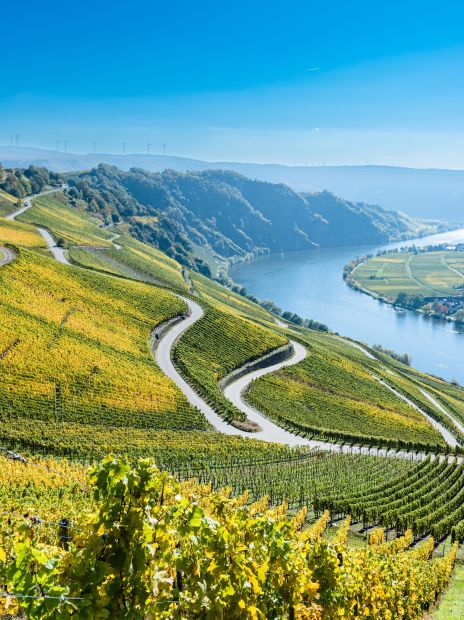Naturparadies Mosel - (c) Matthias/stock.adobe.com