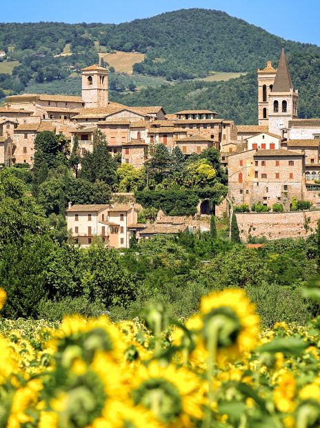 Blick auf Spello in Umbrien - (c) Marco Saracco/stock.adobe.com 