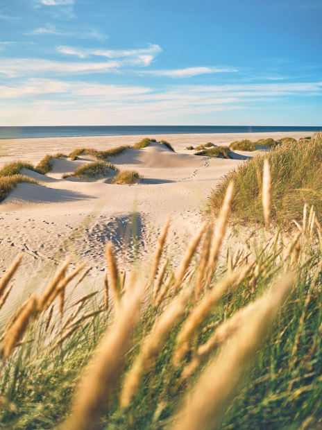 Strand bei Römö in Dänemark - (c) Florian Kunde/stock.adobe.com